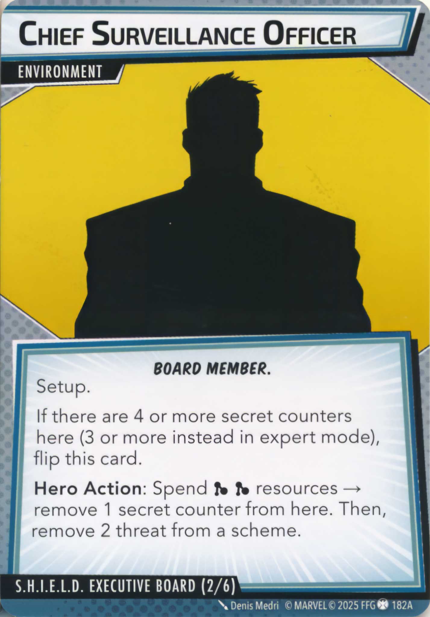 Chief Surveillance Officer